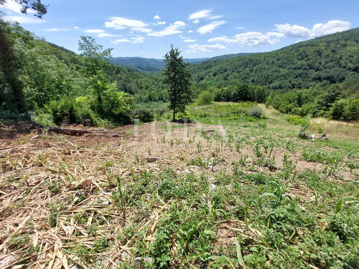 Kuća i Zemljišče Buzet, 1.706m2