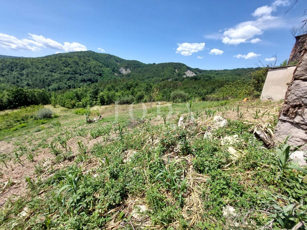 Kuća i Zemljišče Buzet, 1.706m2