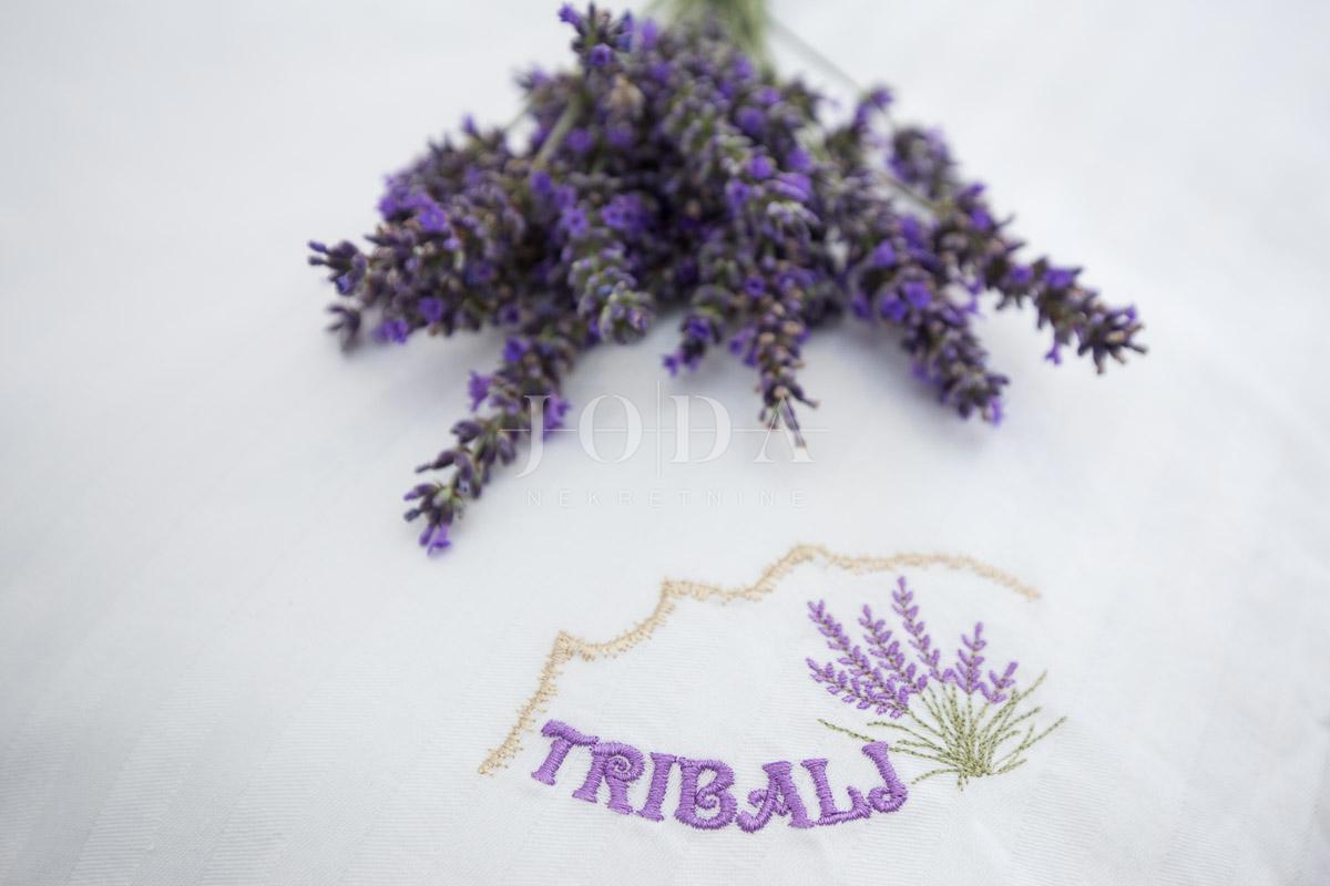 Hiša Tribalj, Vinodolska Općina, 300m2
