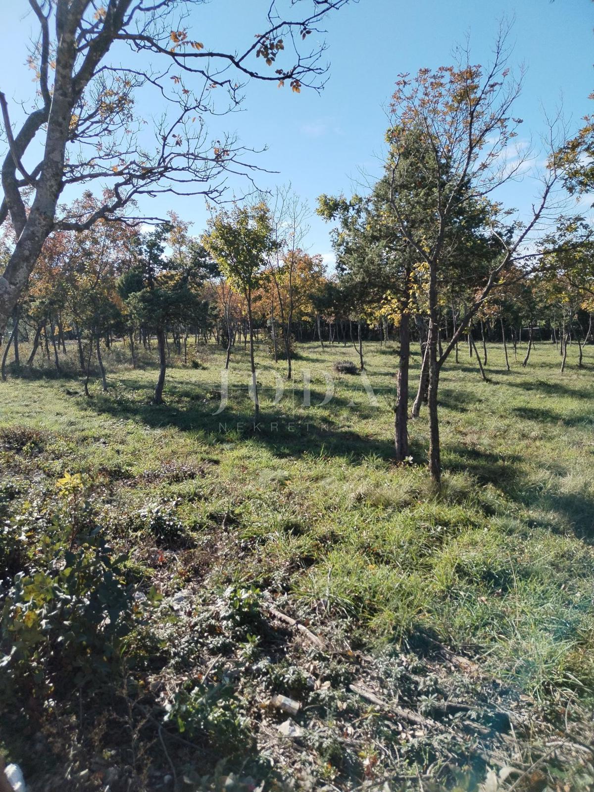 Zemljišče Barban, 1.247m2