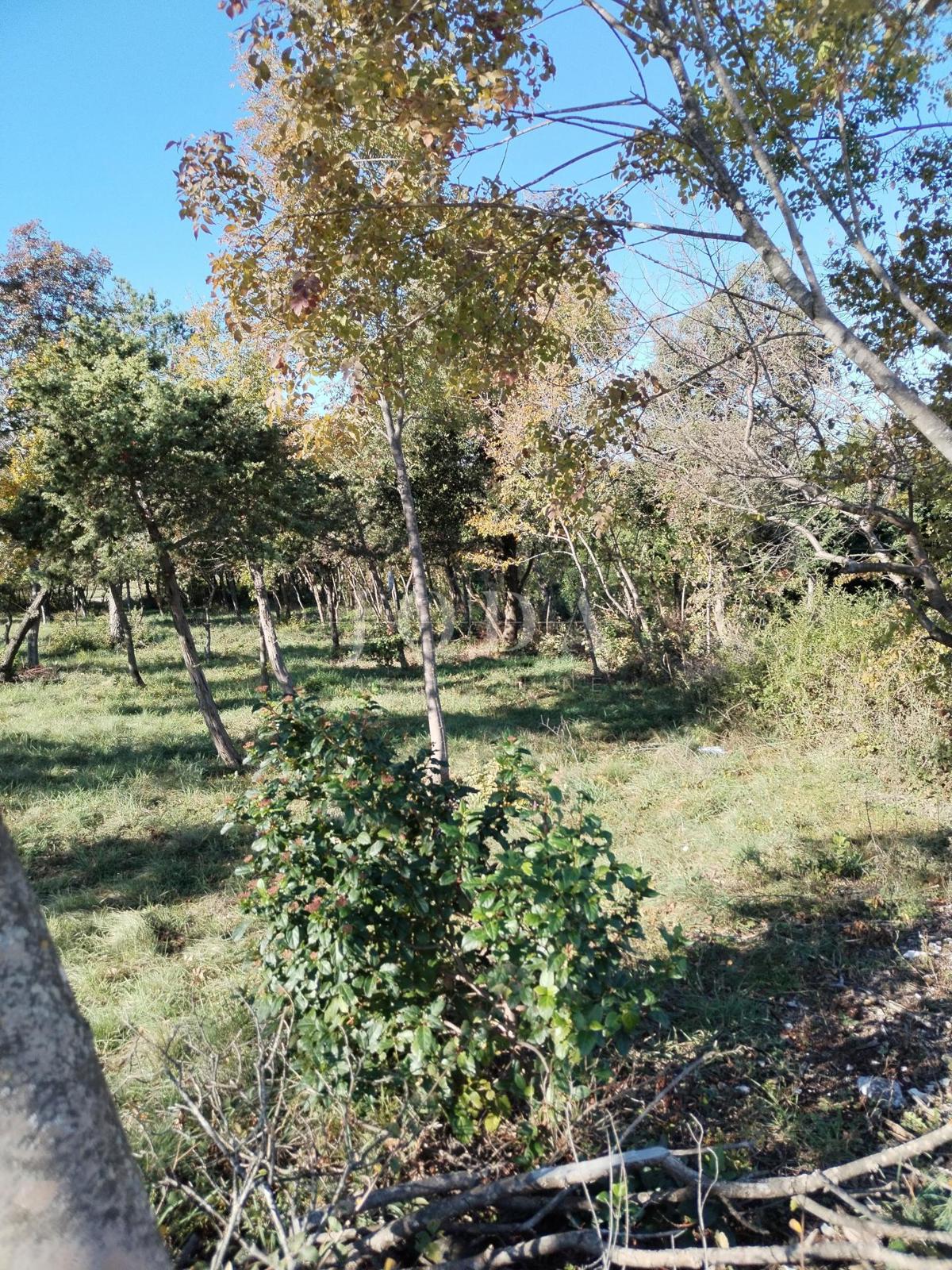 Zemljišče Barban, 1.247m2