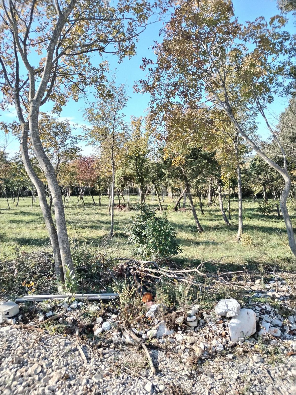 Zemljišče Barban, 1.247m2