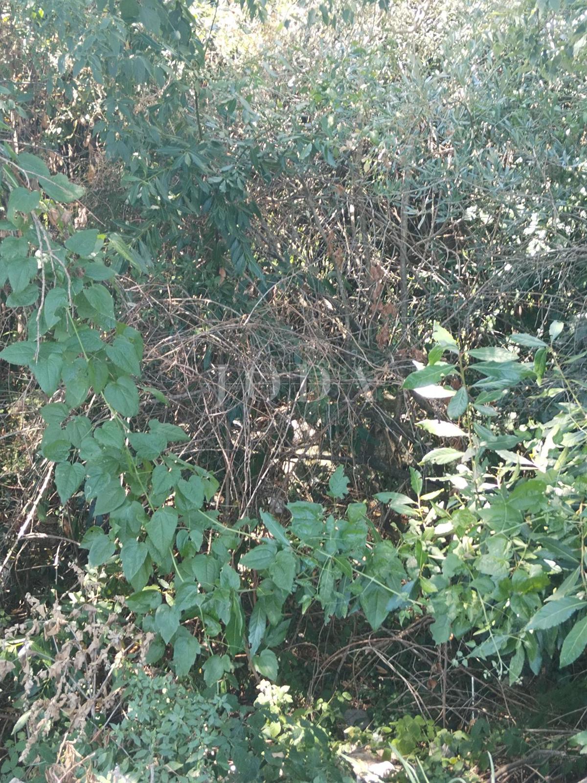 Zemljišče Plomin, Kršan, 1.018m2