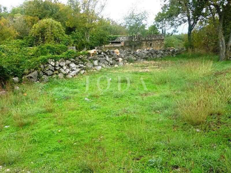 Kamnita hiša dvojček, delno adaptirana