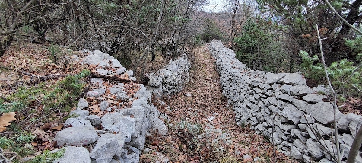 Brseč - kmetijsko zemljišče, 5550 m2