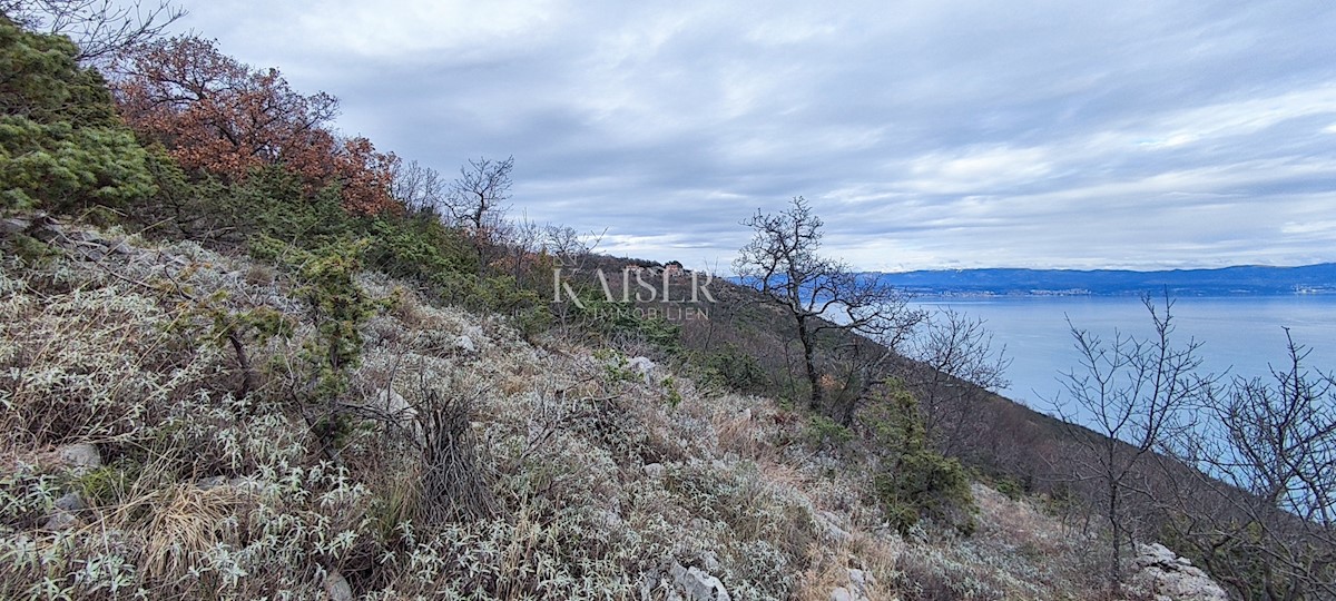 Brseč - kmetijsko zemljišče, 5550 m2