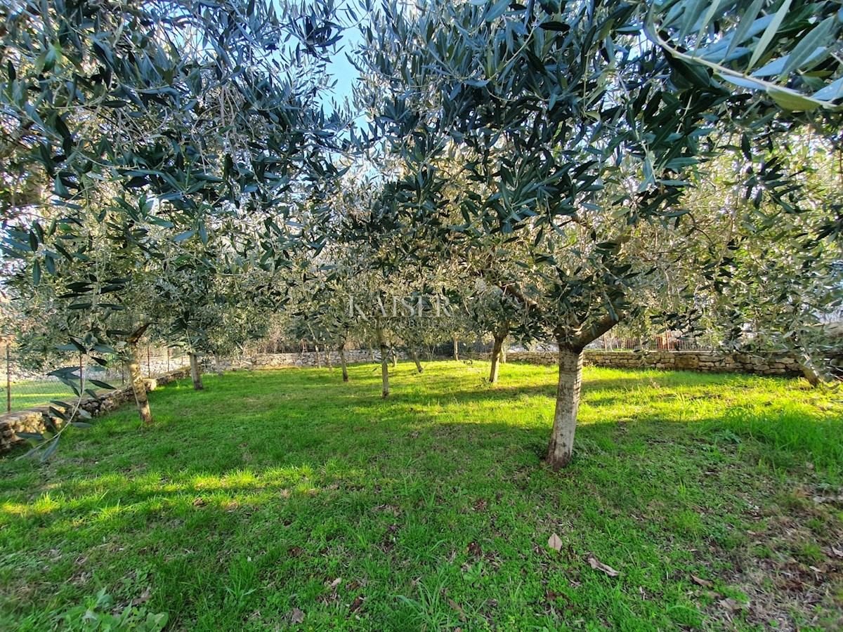 Istra - Poreč, kamnita hiša z ekskluzivnim pogledom na morje