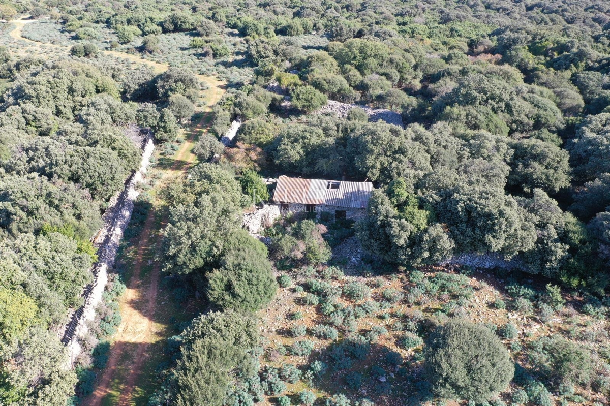 Kmetijsko zemljišče Belej, Mali Lošinj, 2.261m2