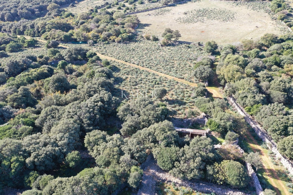 Kmetijsko zemljišče Belej, Mali Lošinj, 2.261m2