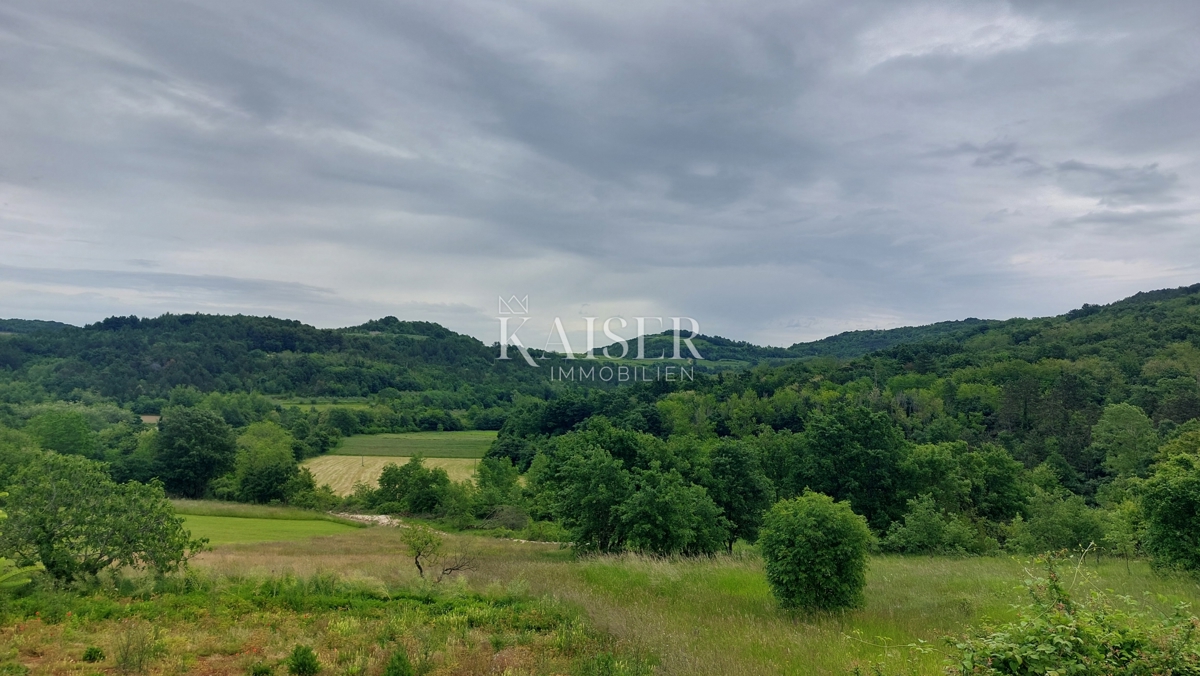 Istra, Novigrad - gradbeno zemljišče, 1100 m2