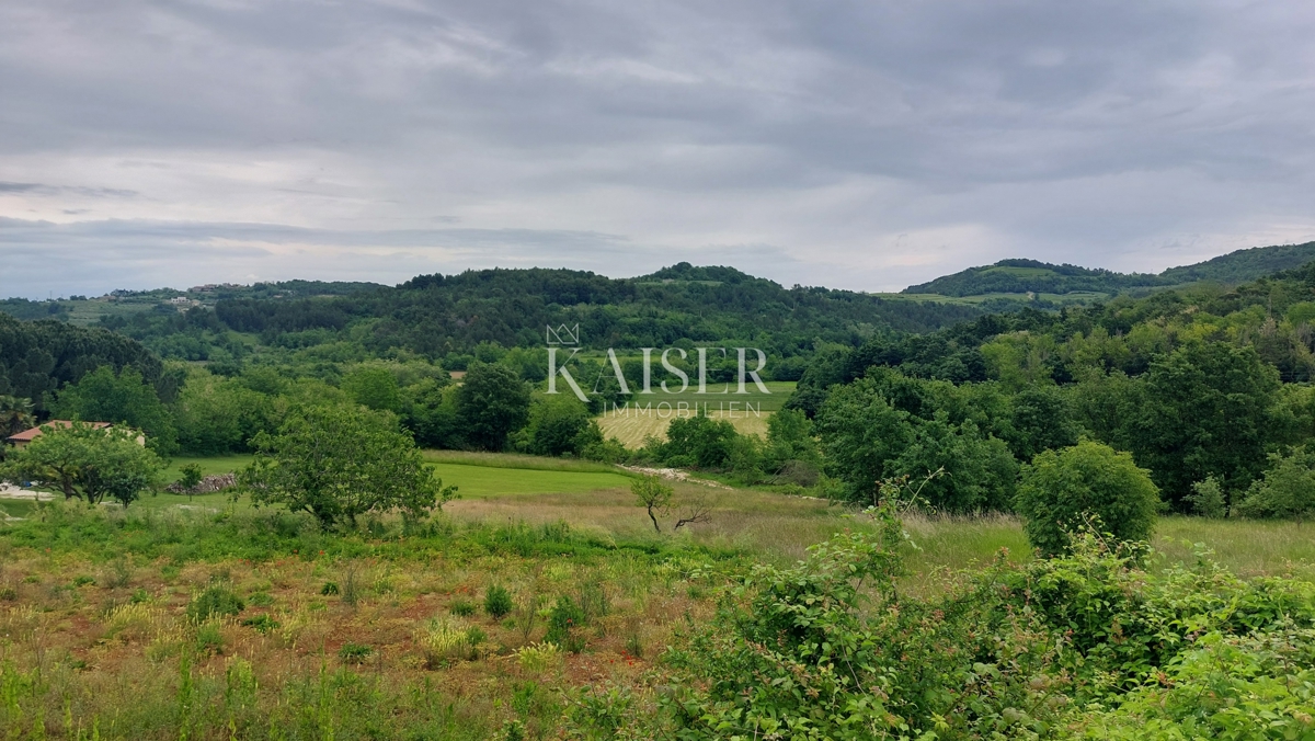 Istra, Novigrad - gradbeno zemljišče, 1100 m2