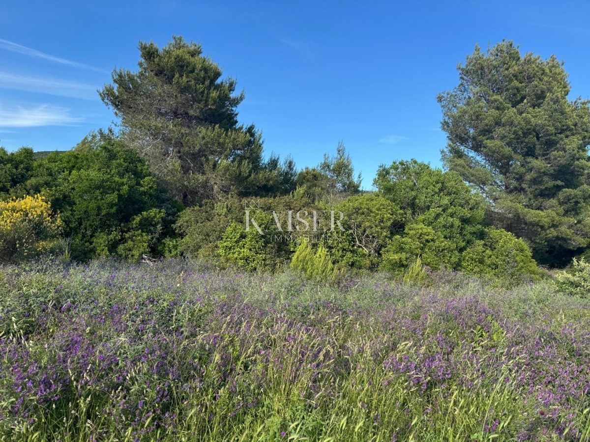Zadar, Sveti Petar n/m, 2100 m2. prva vrsta do morja