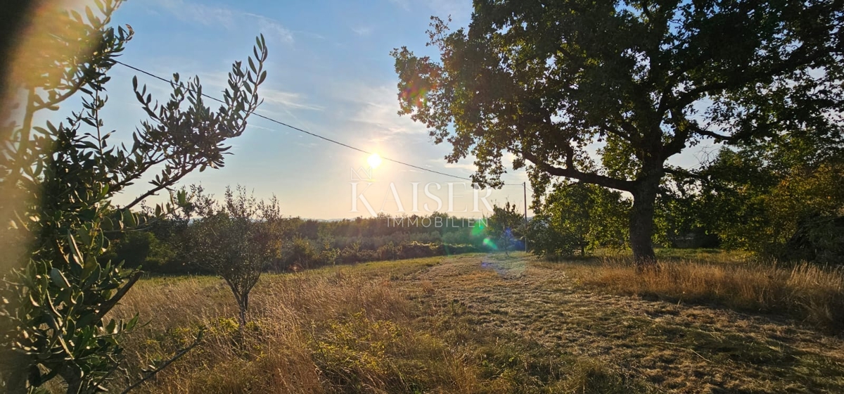 Istra, Oprtalj - gradbeno zemljišče 3600 m2 z dvema kamnitima hišama
