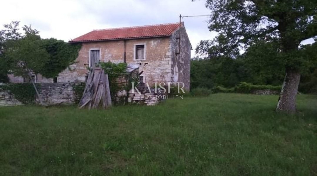Istra, Oprtalj - gradbeno zemljišče 3600 m2 z dvema kamnitima hišama