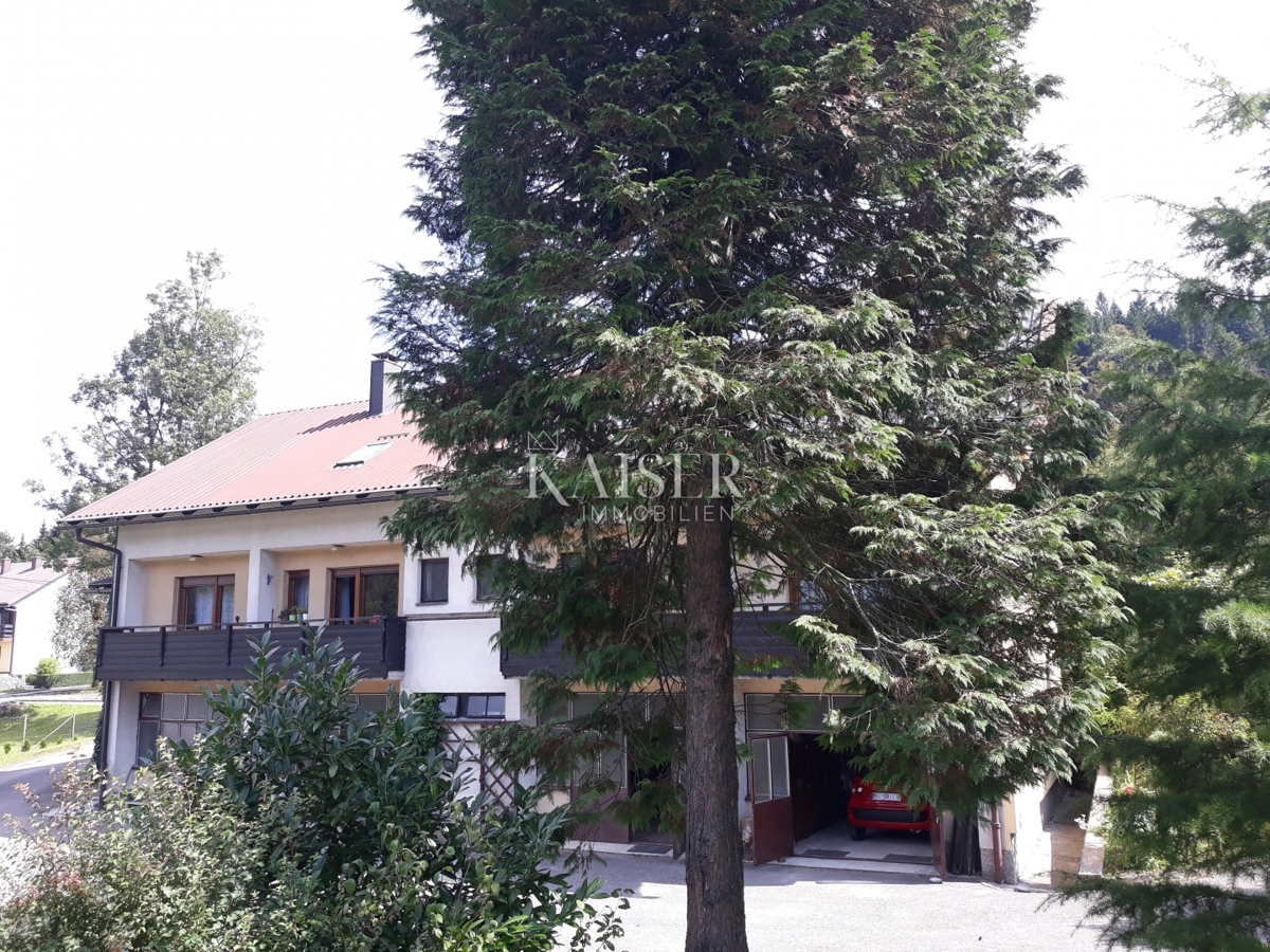 Delnice - hiša s petimi stanovanji, IDEALNA PRILOŽNOST ZA INVESTITORJE
