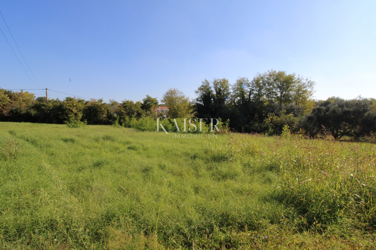 Istra - Nova Vas, gradbeno zemljišče za stanovanjsko namembnost