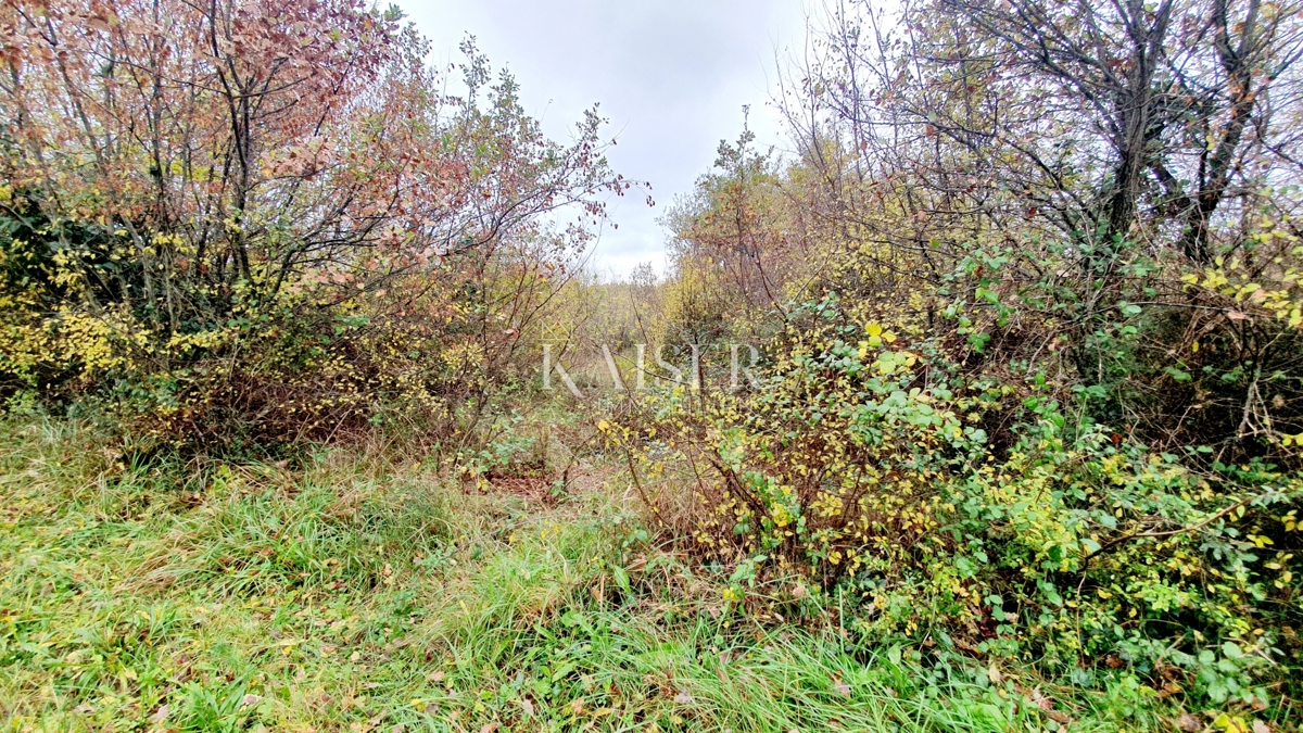 Starine Višnjan, 400m2