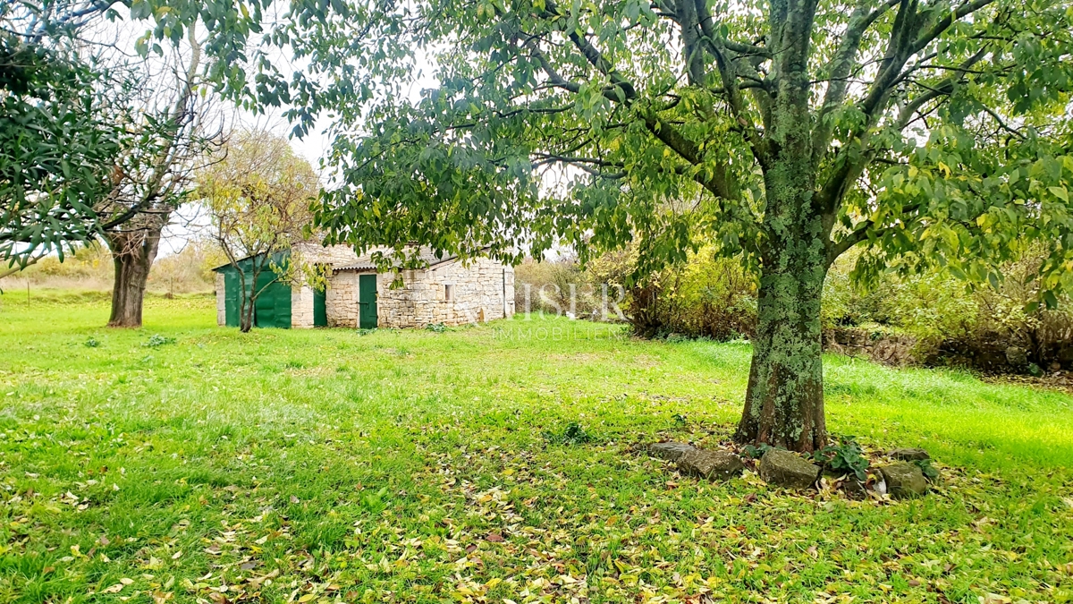 Starine Višnjan, 400m2