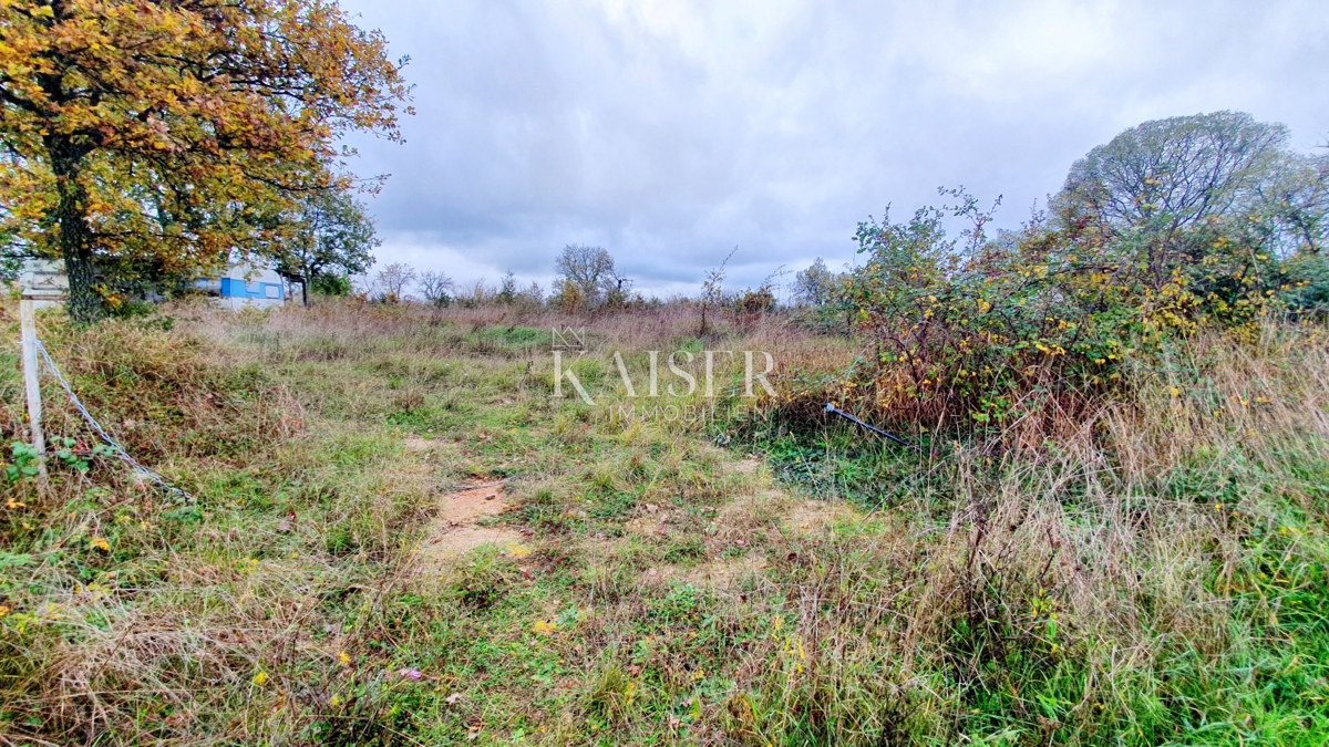 Starine Višnjan, 400m2