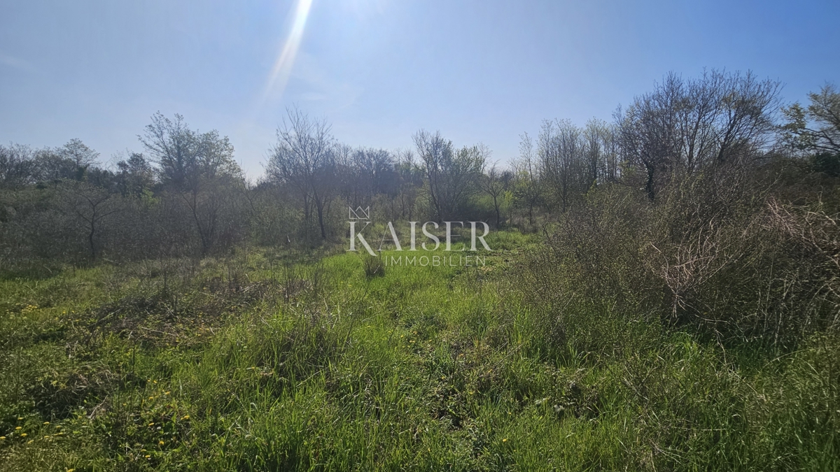 Umag, območje Istre, kmetijsko zemljišče ob glavni cesti