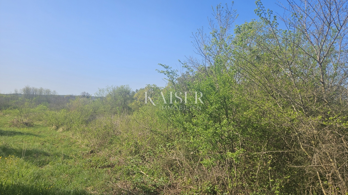 Umag, območje Istre, kmetijsko zemljišče ob glavni cesti