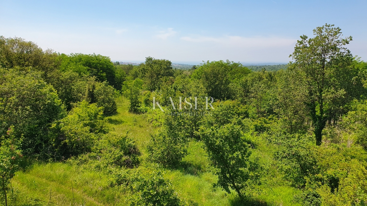 Istra - Kaštelir, kmetijsko zemljišče, gozd 8740 m2
