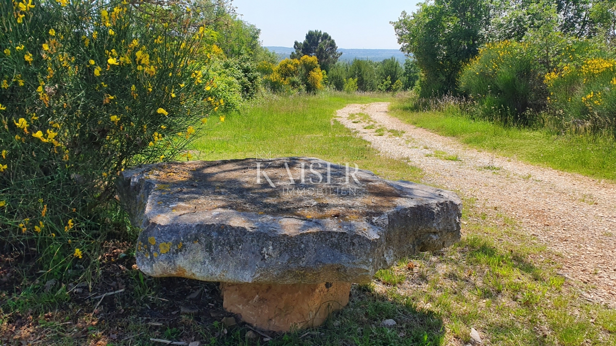 Istra - Kaštelir, kmetijsko zemljišče, gozd 8740 m2