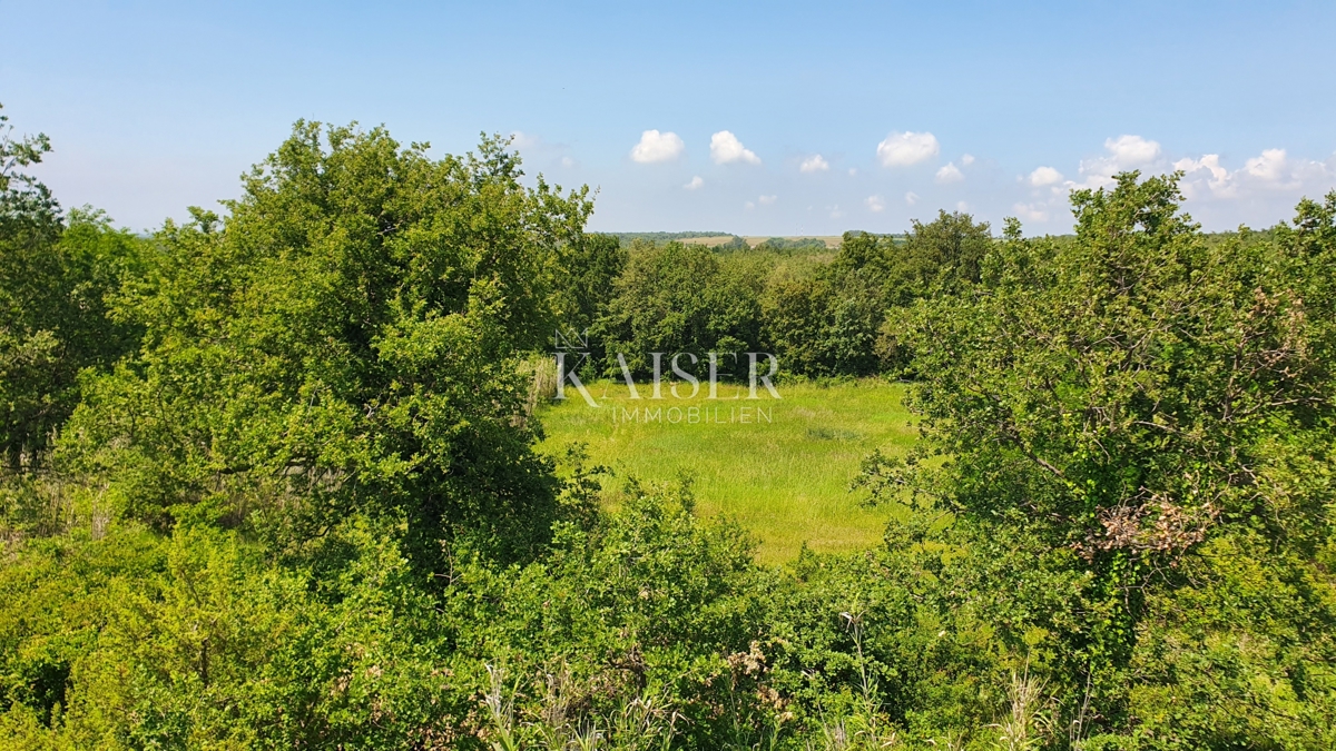 Istra - Kaštelir, kmetijsko zemljišče, gozd 8740 m2