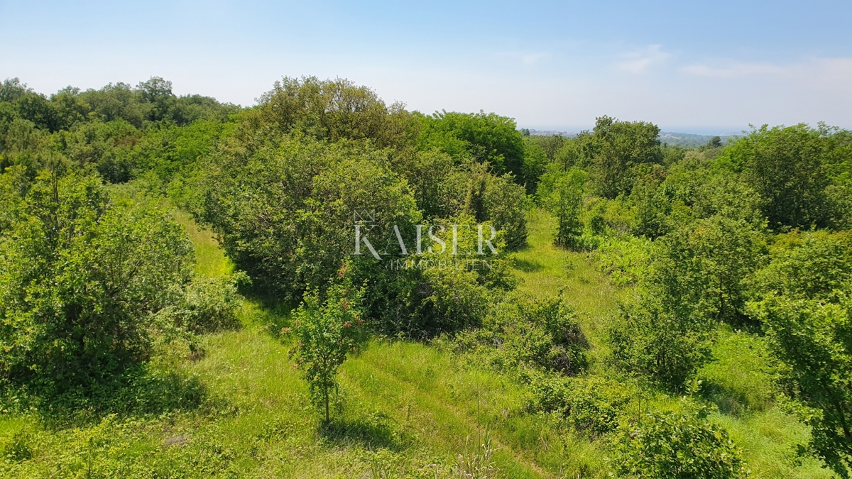 Istra - Kaštelir, kmetijsko zemljišče, gozd 8740 m2