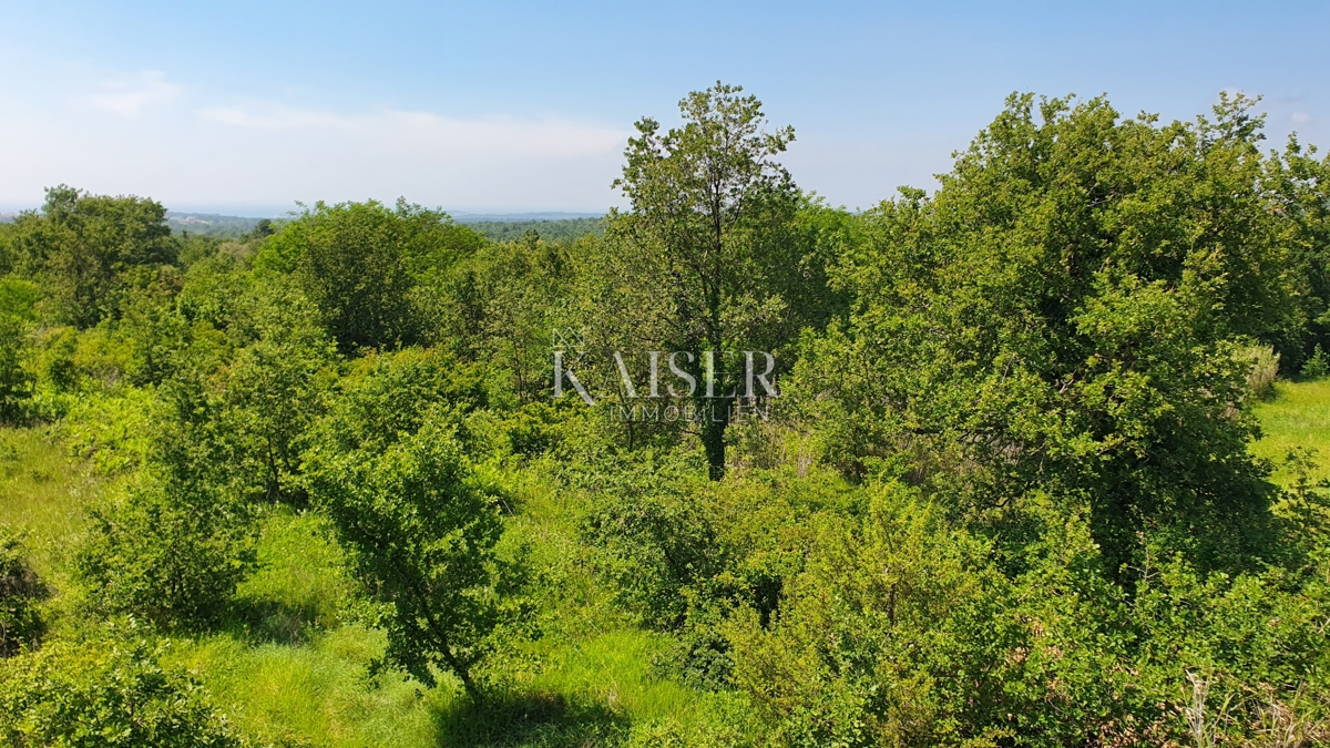Istra - Kaštelir, kmetijsko zemljišče, gozd 8740 m2