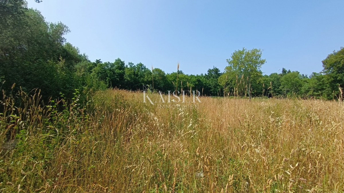 Istra, Peruški - gradbeno zemljišče 862m2 s projektom 