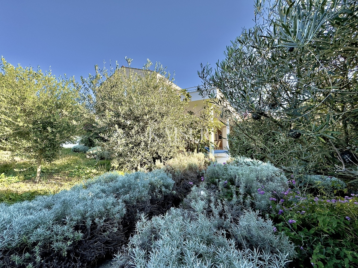 Pag, Potočnica - Družinska vila z bazenom in čudovitim razgledom 100 m od plaže