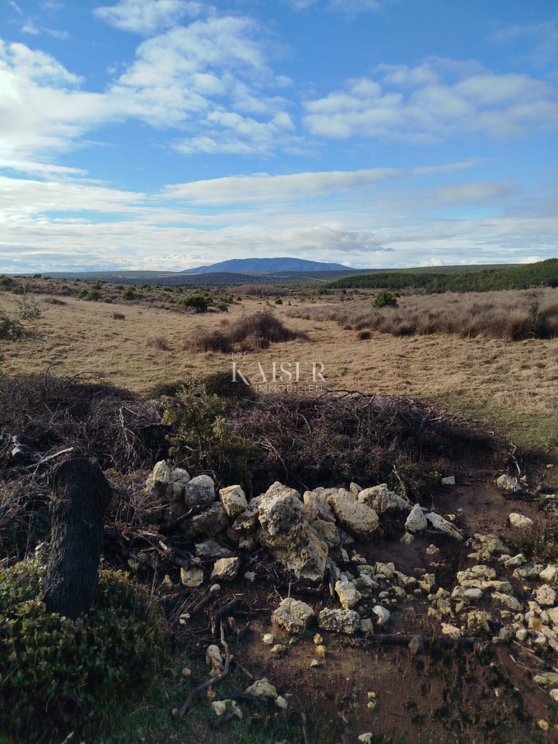 Otok Cres, kmetijsko zemljišče 111.715 m2