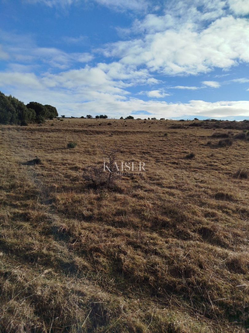 Otok Cres, kmetijsko zemljišče 111.715 m2