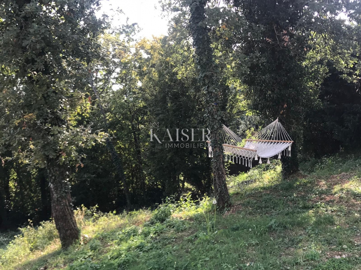 Opatijska riviera, vila z bazenom in panoramskim pogledom na morje