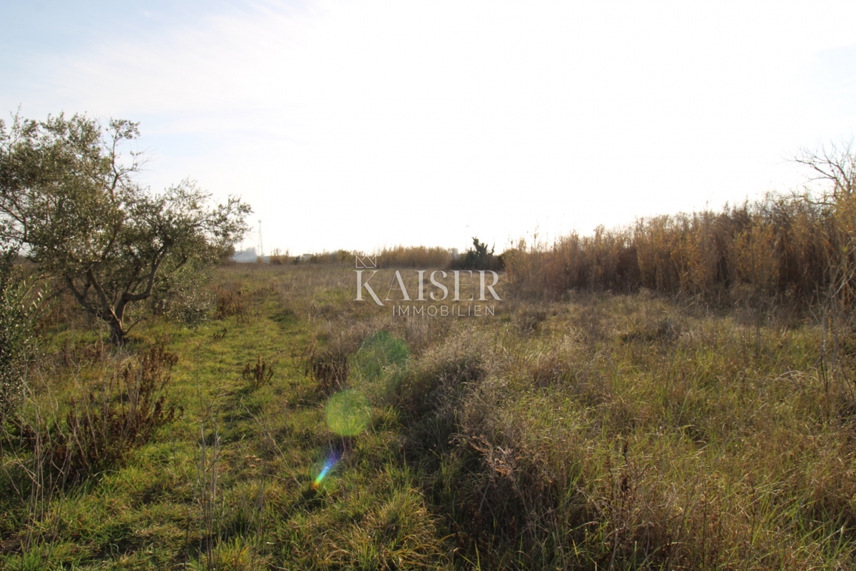  Zazidljivo zemljišče Privlaka, 1.000m2