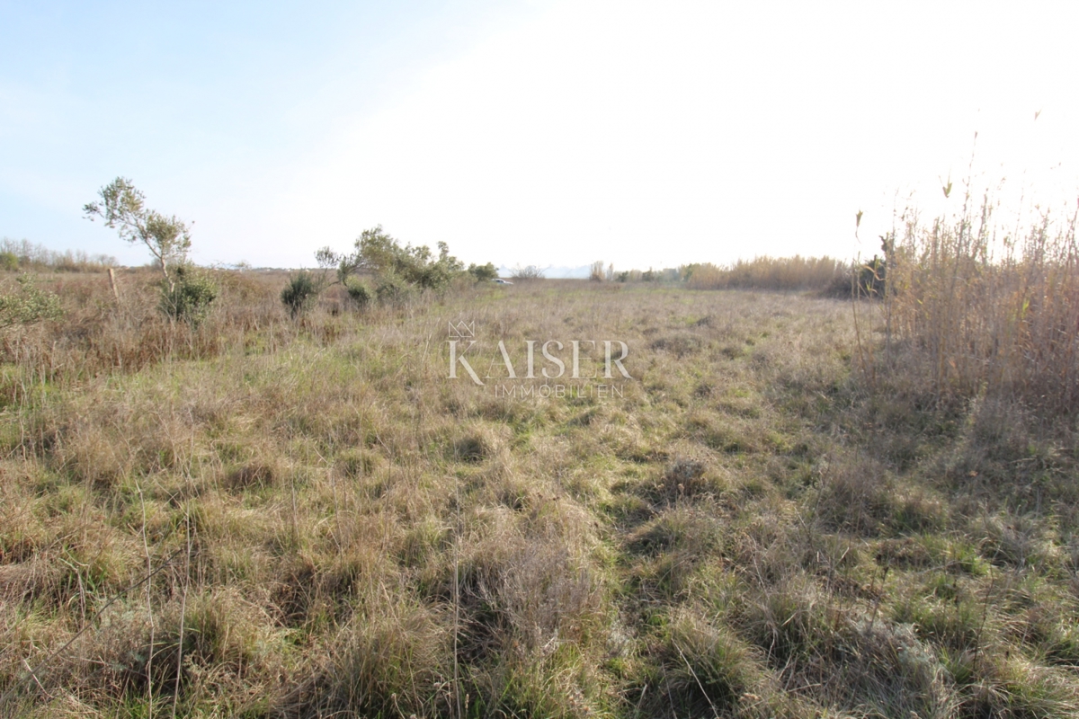  Zazidljivo zemljišče Privlaka, 1.000m2