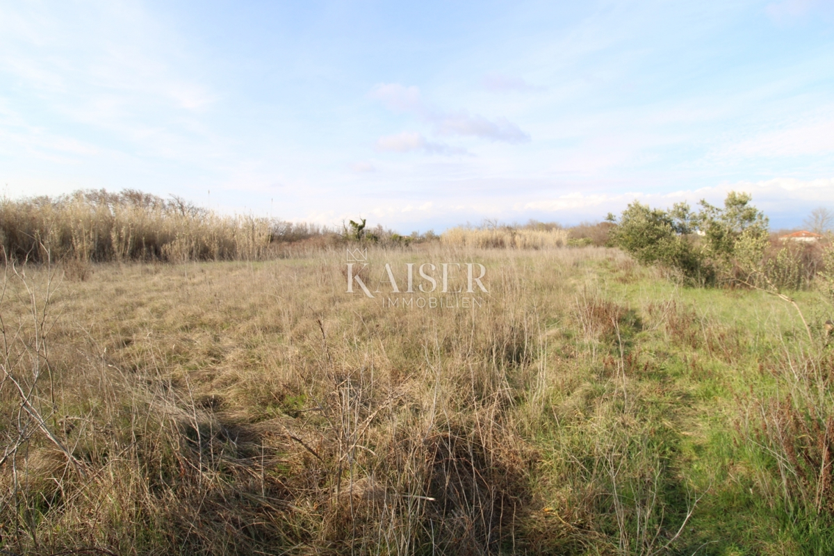  Zazidljivo zemljišče Privlaka, 1.000m2