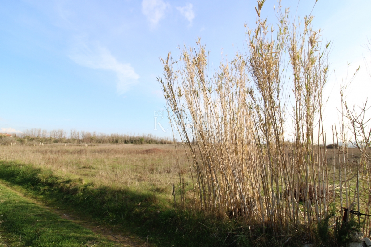  Zazidljivo zemljišče Privlaka, 1.000m2