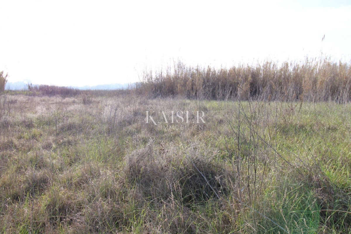  Zazidljivo zemljišče Privlaka, 1.000m2