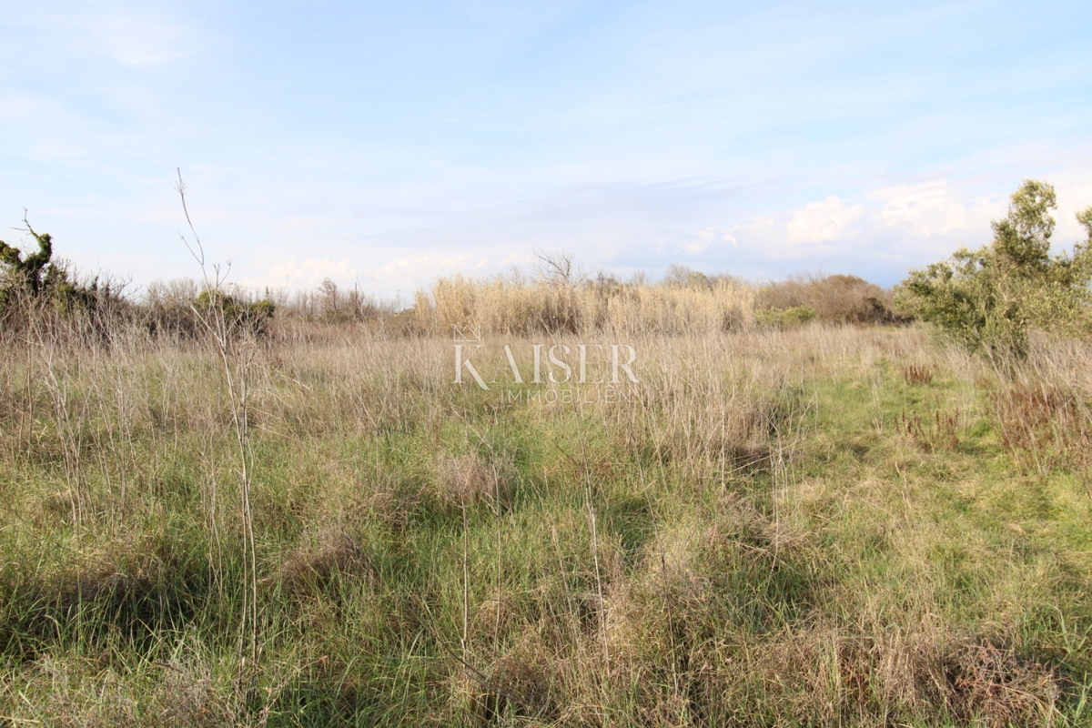  Zazidljivo zemljišče Privlaka, 1.000m2