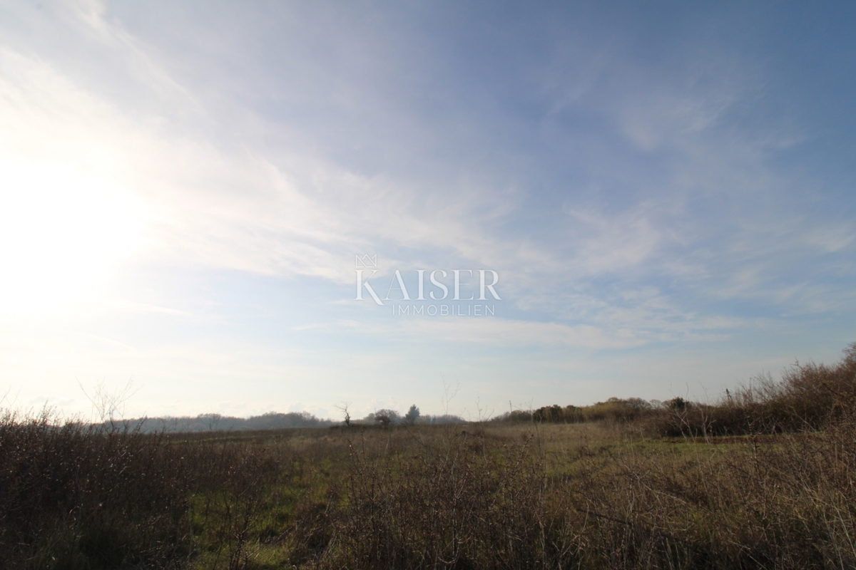  Zazidljivo zemljišče Privlaka, 1.000m2