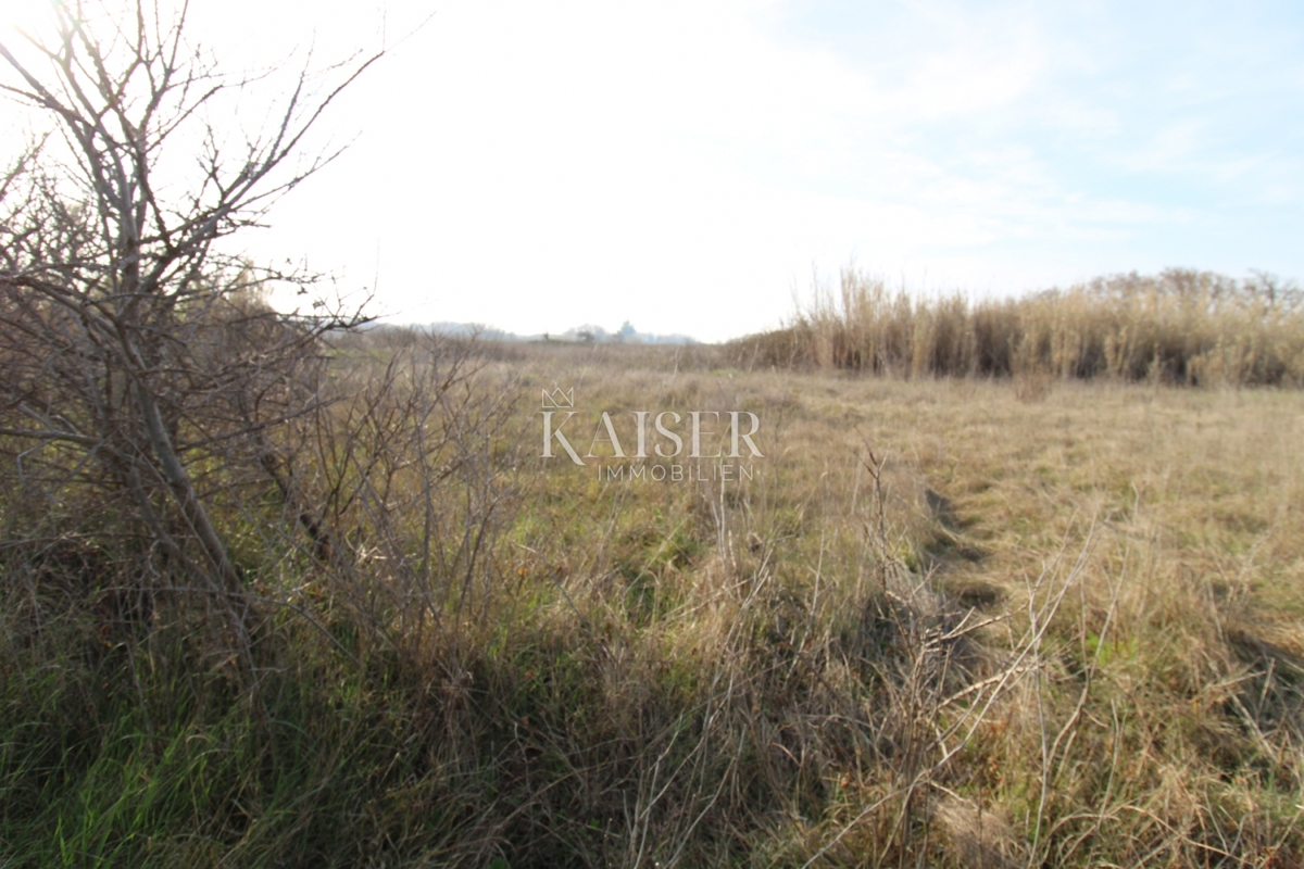  Zazidljivo zemljišče Privlaka, 1.000m2