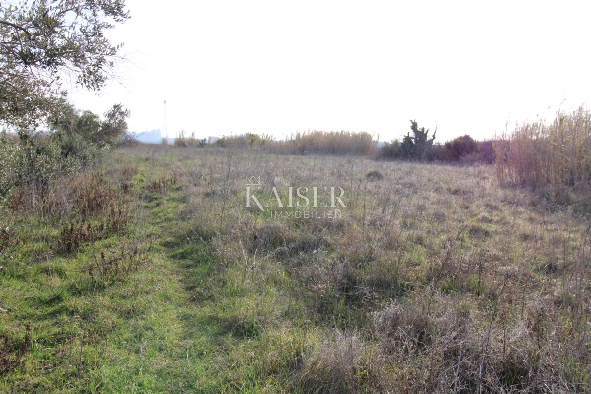  Zazidljivo zemljišče Privlaka, 1.000m2