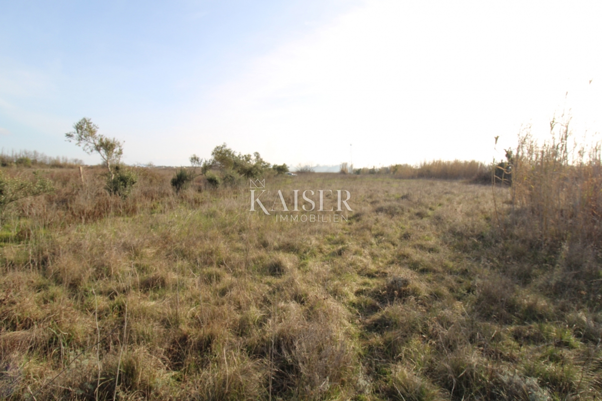  Zazidljivo zemljišče Privlaka, 1.000m2