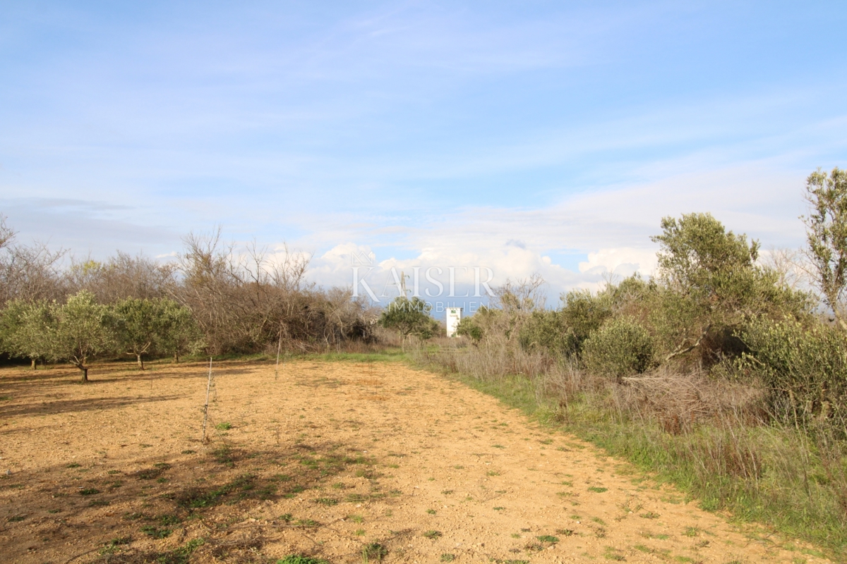  Zazidljivo zemljišče Privlaka, 1.000m2
