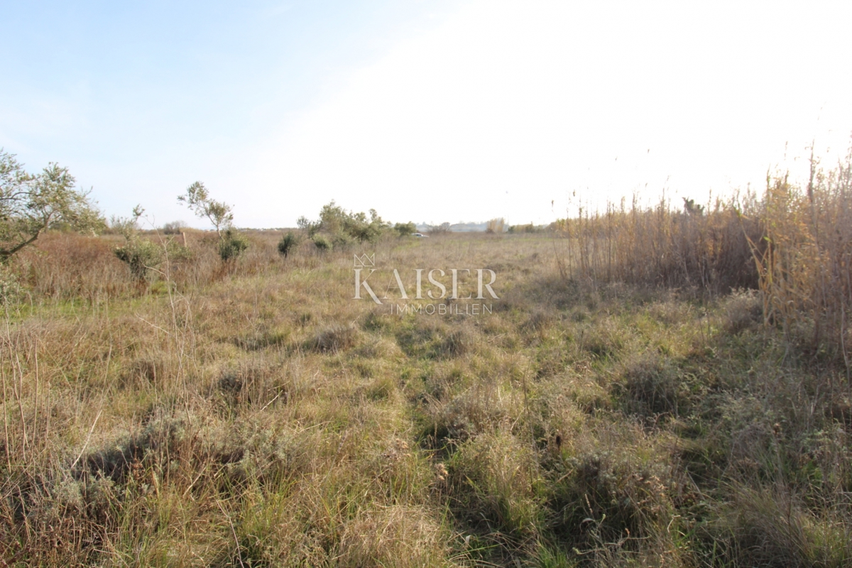  Zazidljivo zemljišče Privlaka, 1.000m2