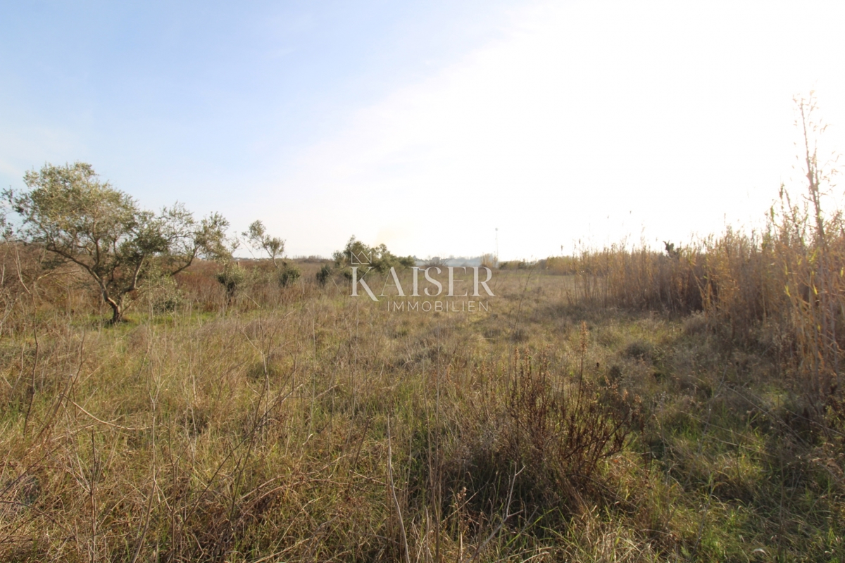  Zazidljivo zemljišče Privlaka, 1.000m2