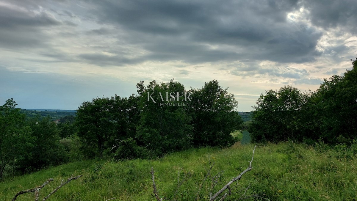  Zazidljivo zemljišče Grožnjan, 1.560m2