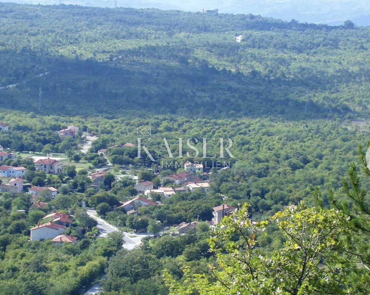 Kmetijsko zemljišče Labin, 44.000m2